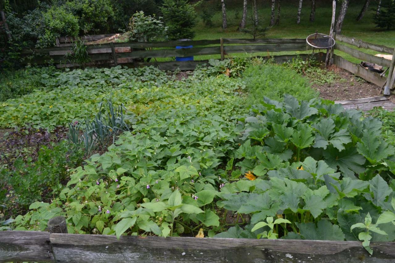 Agroturystyka Teosiowo Pobiedna Dış mekan fotoğraf